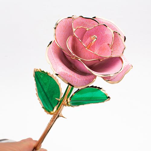 Eternal Gold Rose