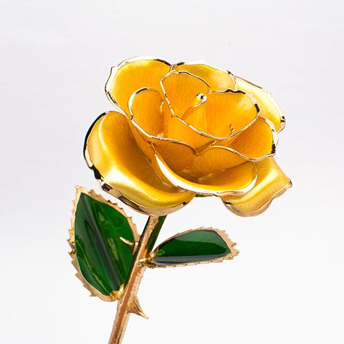 Eternal Gold Rose