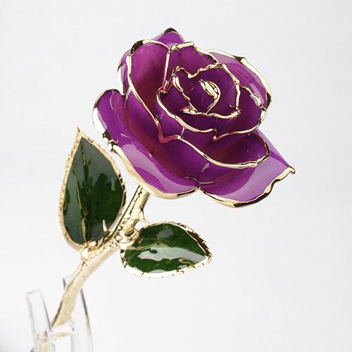 Eternal Gold Rose