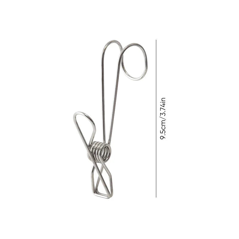 Stainless Steel Clothes Pegs (10 Pieces)