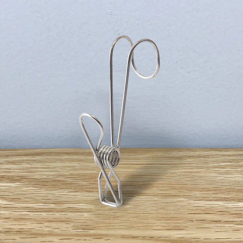 Stainless Steel Clothes Pegs (10 Pieces)