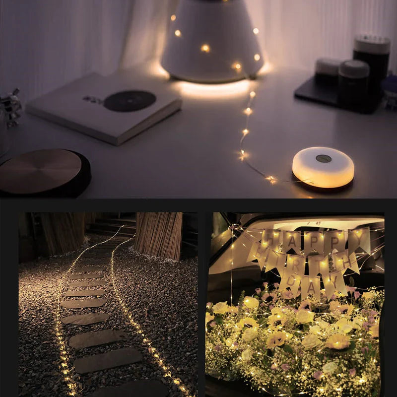Versatile Portable Fairy Lights (10 M)