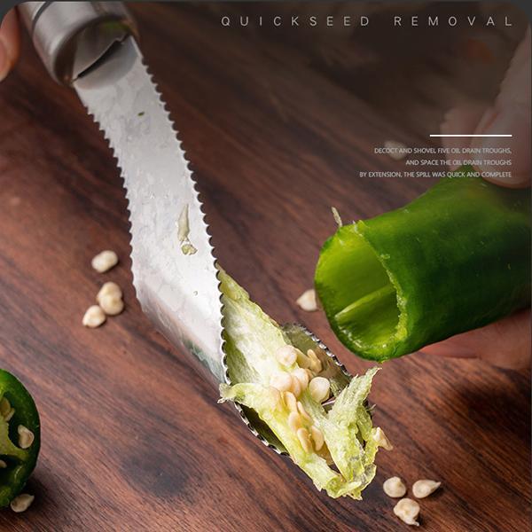 Stainless Steel Seed Remover for Fruit and Vegetables