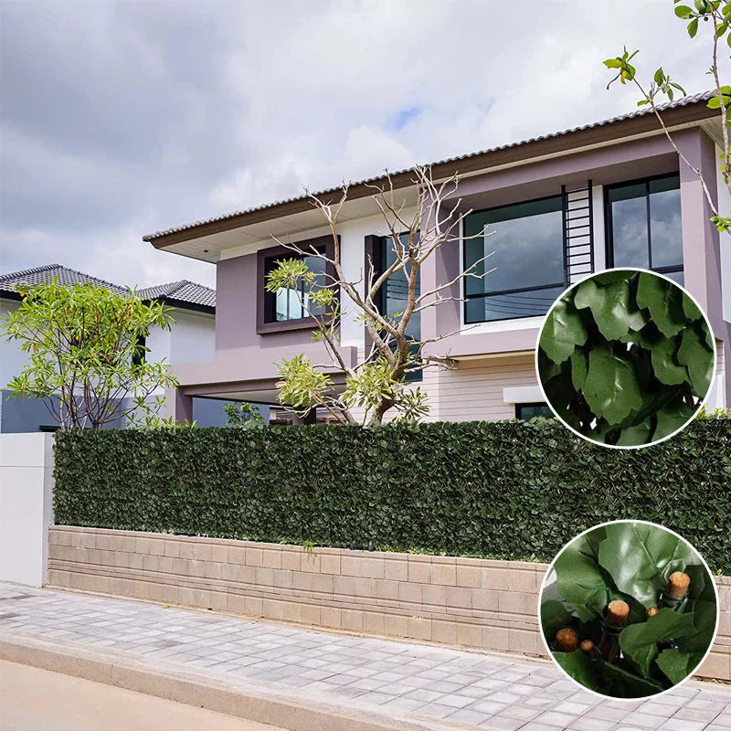 Flexible Privacy Fence with a Climbing Plant Look
