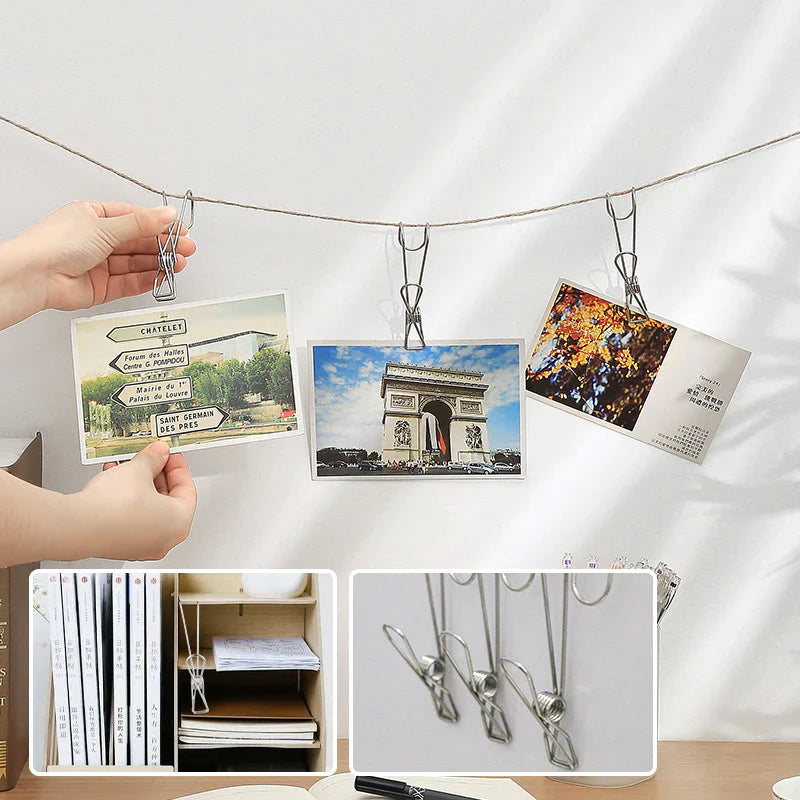 Stainless Steel Clothes Pegs (10 Pieces)