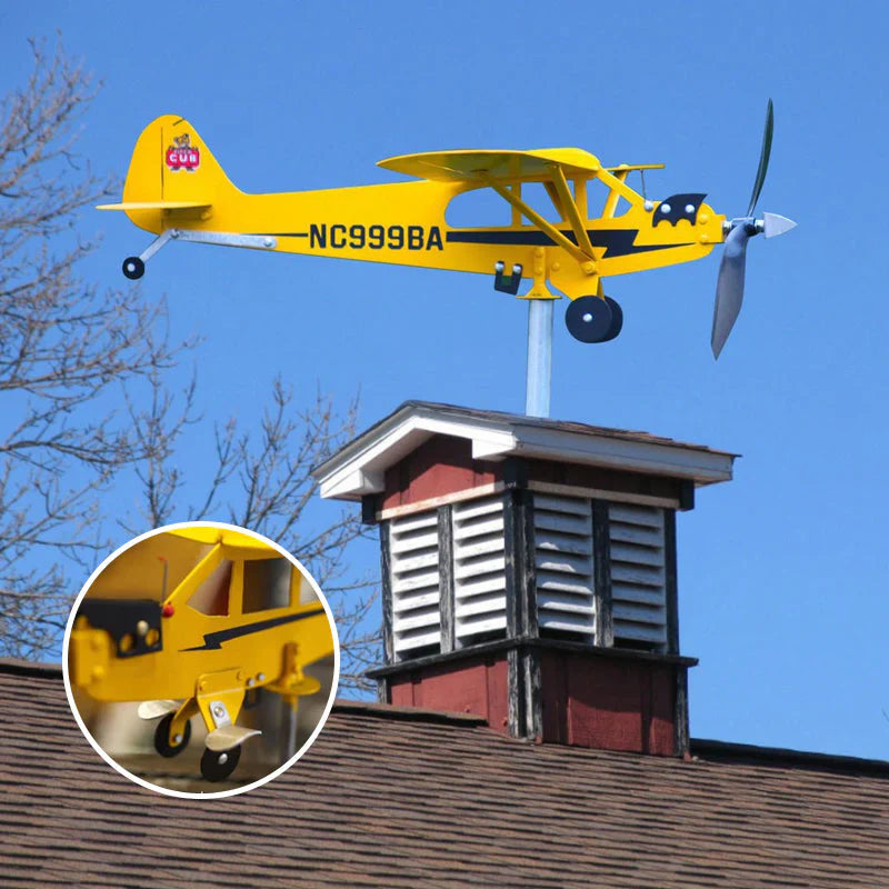 Flying Weather Vane
