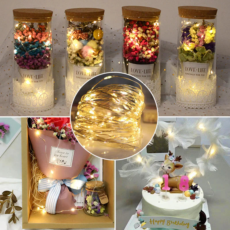 Decorative Copper Wire Fairy Lights with Usb Connection
