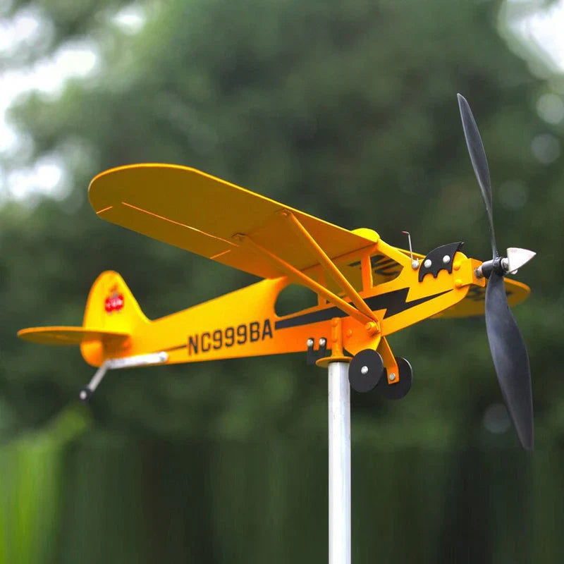 Flying Weather Vane