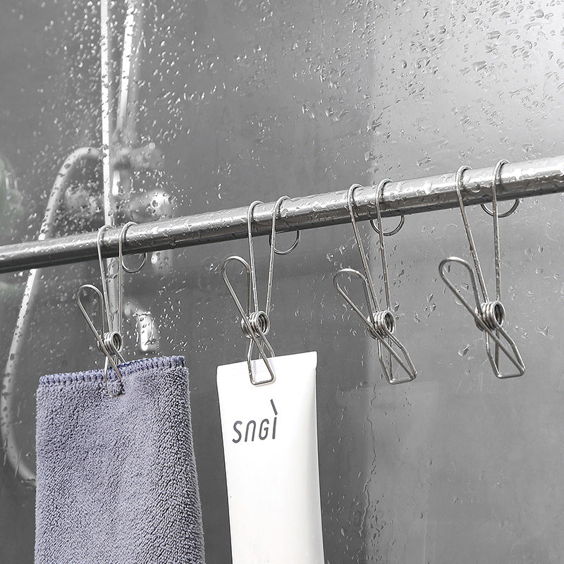 Stainless Steel Clothes Pegs (10 Pieces)