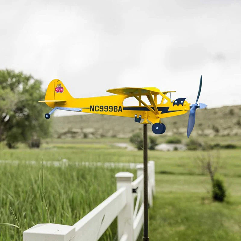 Flying Weather Vane