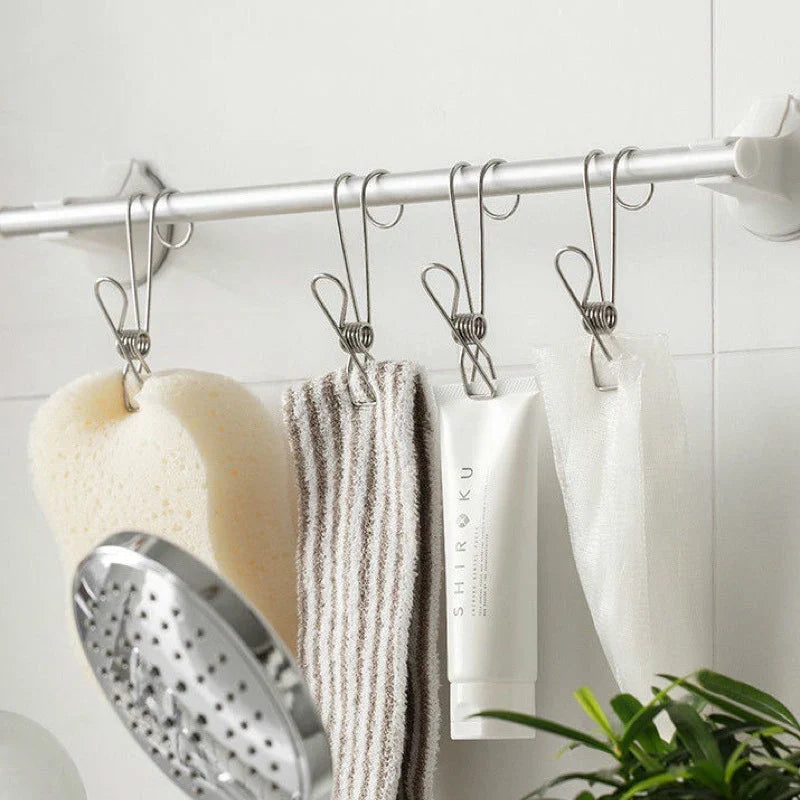 Stainless Steel Clothes Pegs (10 Pieces)