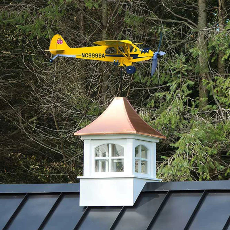 Flying Weather Vane