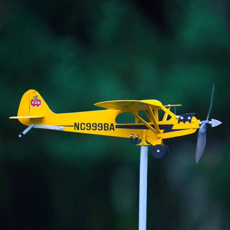 Flying Weather Vane