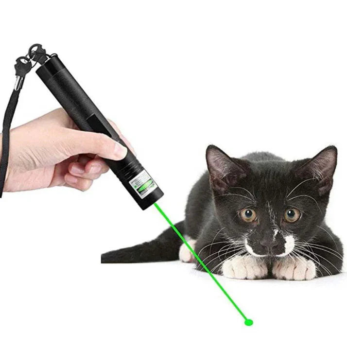Precision Laser Pointer for Professionals