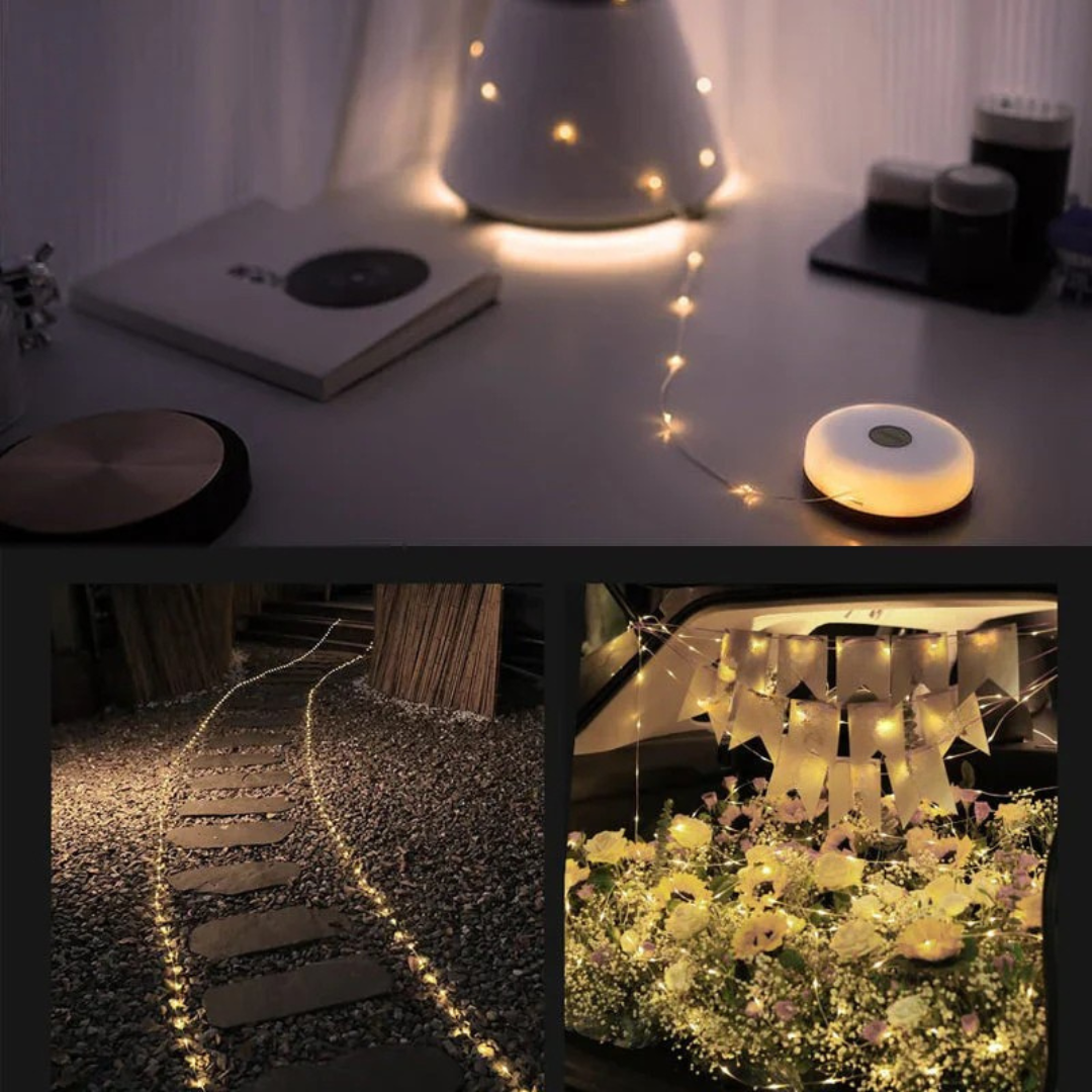 Versatile Portable Fairy Lights (10 M)