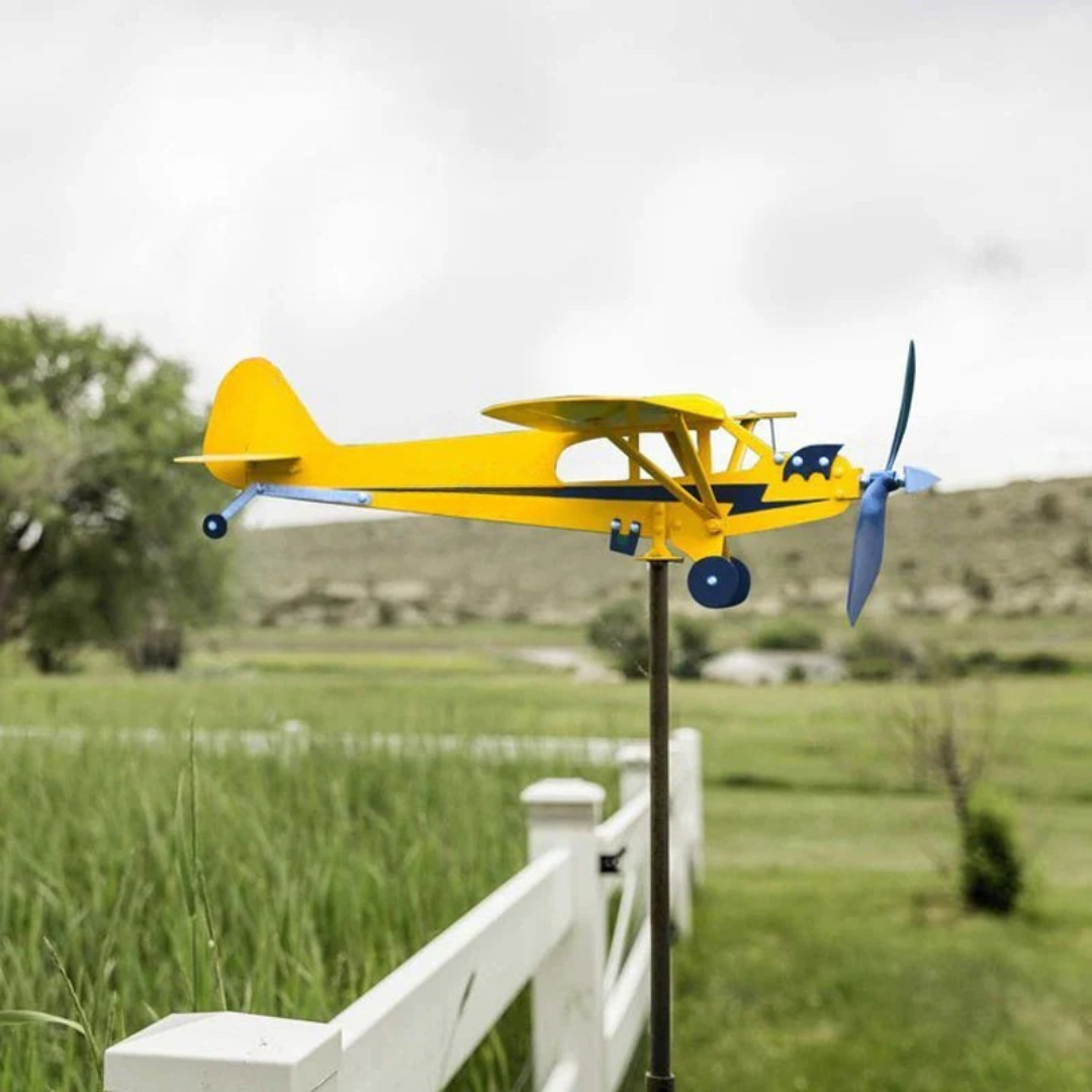 Flying Weather Vane