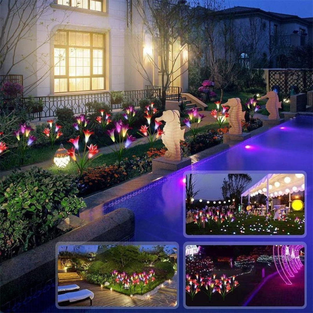 Solarlilies - Romantic Illuminated Flowers for Your Garden