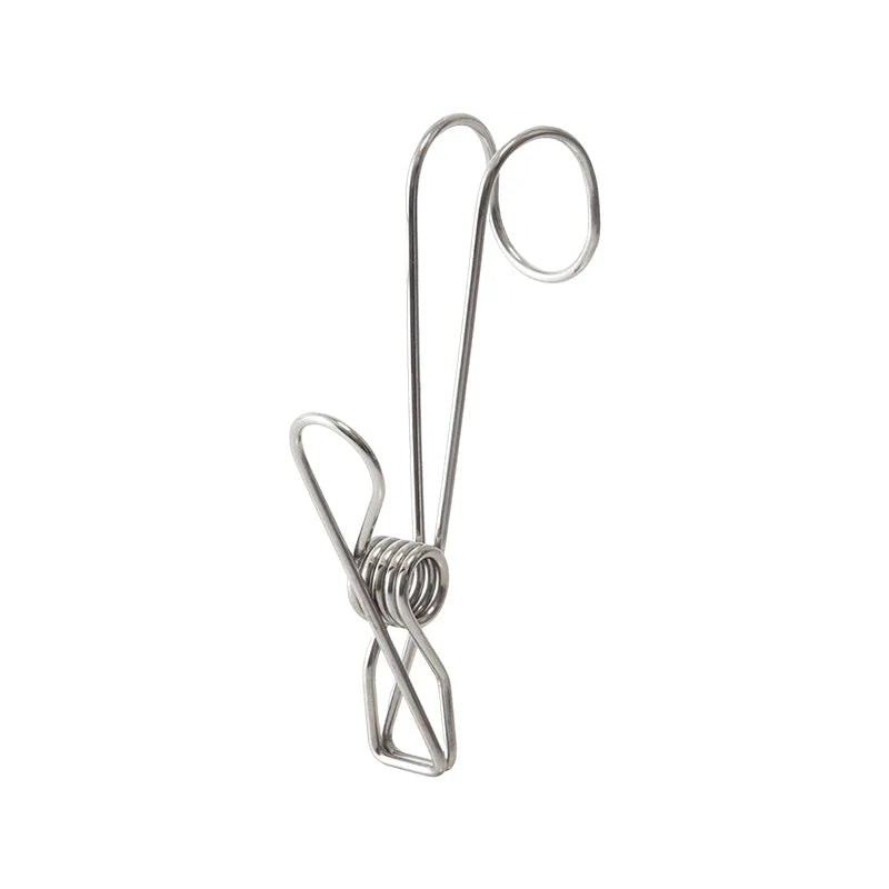 Stainless Steel Clothes Pegs (10 Pieces)