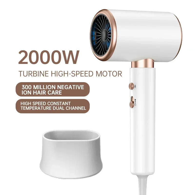 Professional Ionic Hairdryer 2400w