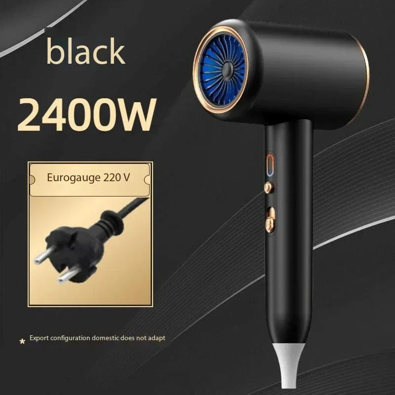 Professional Ionic Hairdryer 2400w