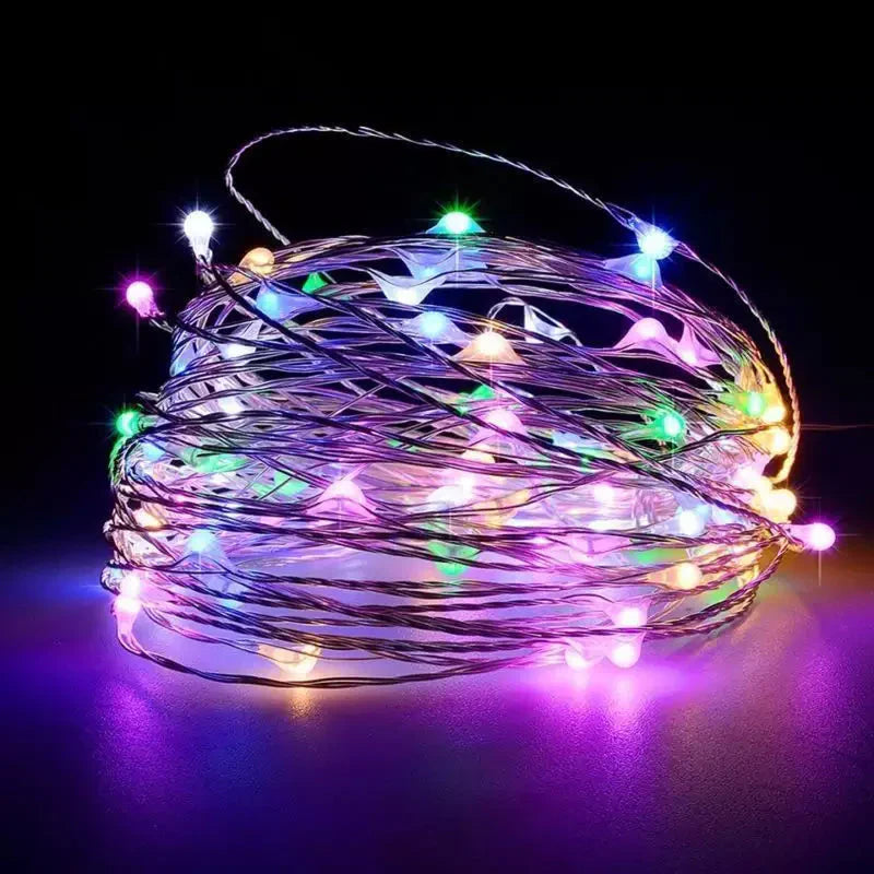 Decorative Copper Wire Fairy Lights with Usb Connection