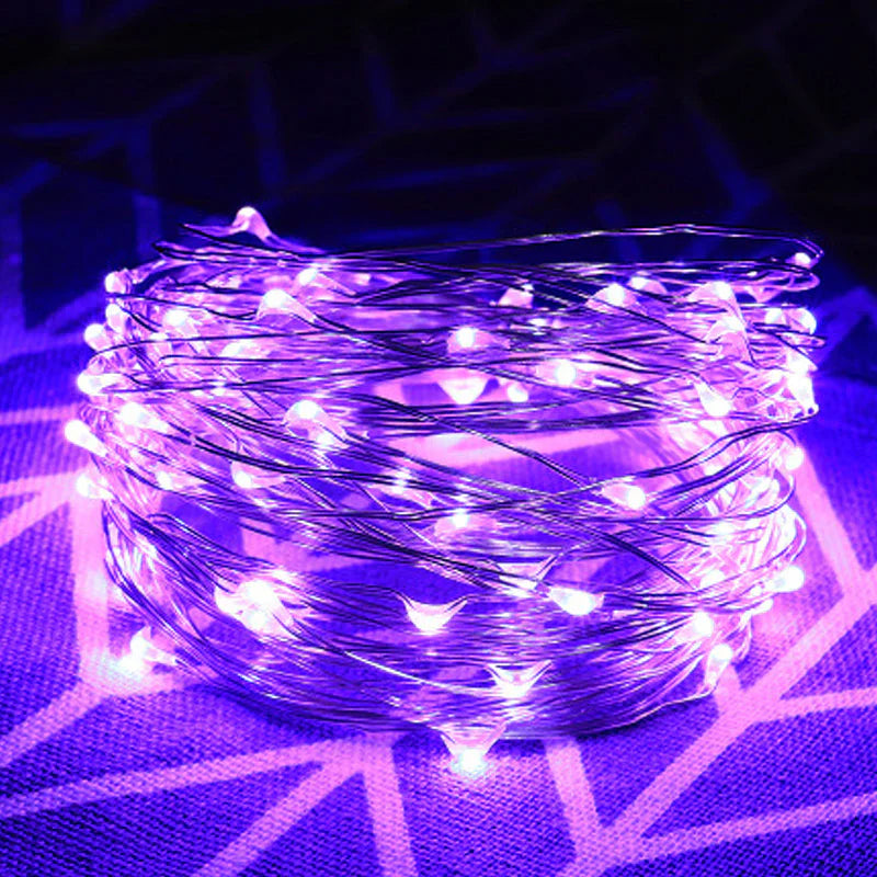 Decorative Copper Wire Fairy Lights with Usb Connection