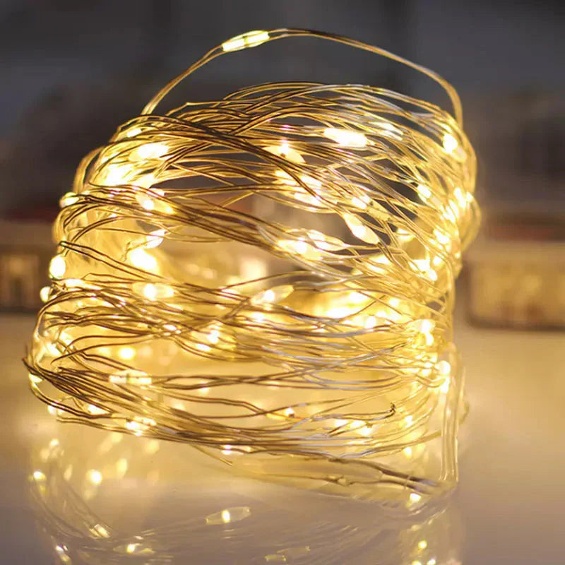 Decorative Copper Wire Fairy Lights with Usb Connection