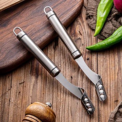 Stainless Steel Seed Remover for Fruit and Vegetables