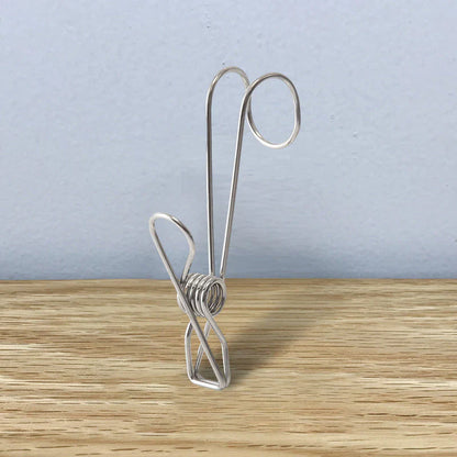 Stainless Steel Clothes Pegs (10 Pieces)