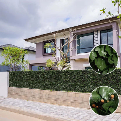 Flexible Privacy Fence with a Climbing Plant Look
