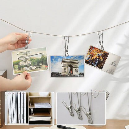 Stainless Steel Clothes Pegs (10 Pieces)