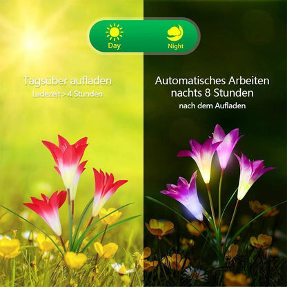 Solarlilies - Romantic Illuminated Flowers for Your Garden