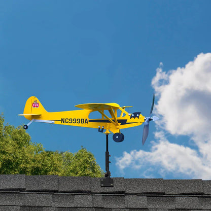 Flying Weather Vane