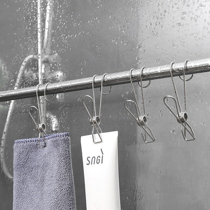 Stainless Steel Clothes Pegs (10 Pieces)
