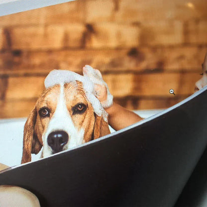 Magnetic Photo Frame for Metal Surfaces