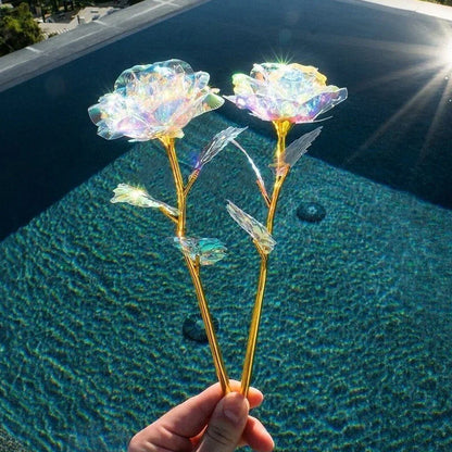 Colourful Galaxy Rose - an Eternal Sign of Love