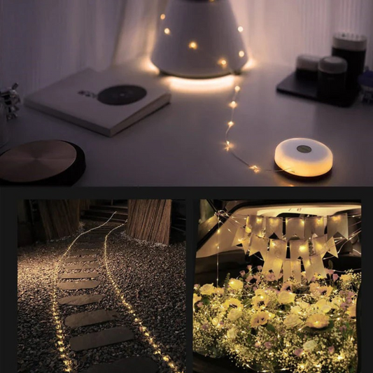 Versatile Portable Fairy Lights (10 M)
