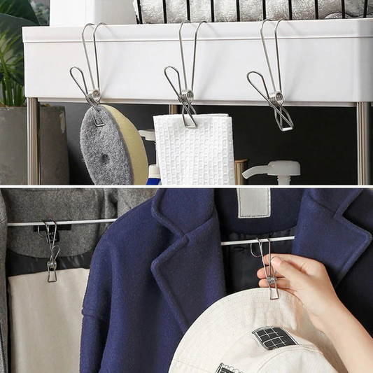 Stainless Steel Clothes Pegs (10 Pieces)