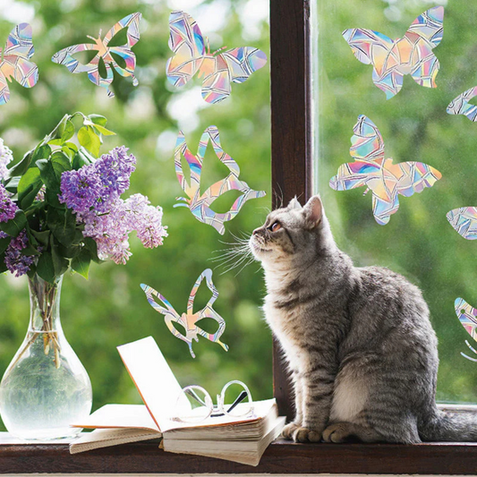 Colourful Window Decoration Films