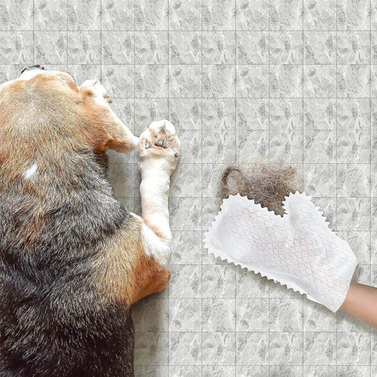 Reusable Cleaning Gloves for the Household